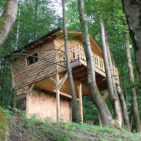 Treehouse Velké Losiny Екстериор снимка