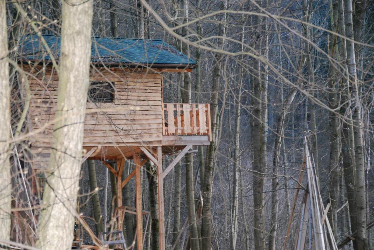Treehouse Velké Losiny Екстериор снимка