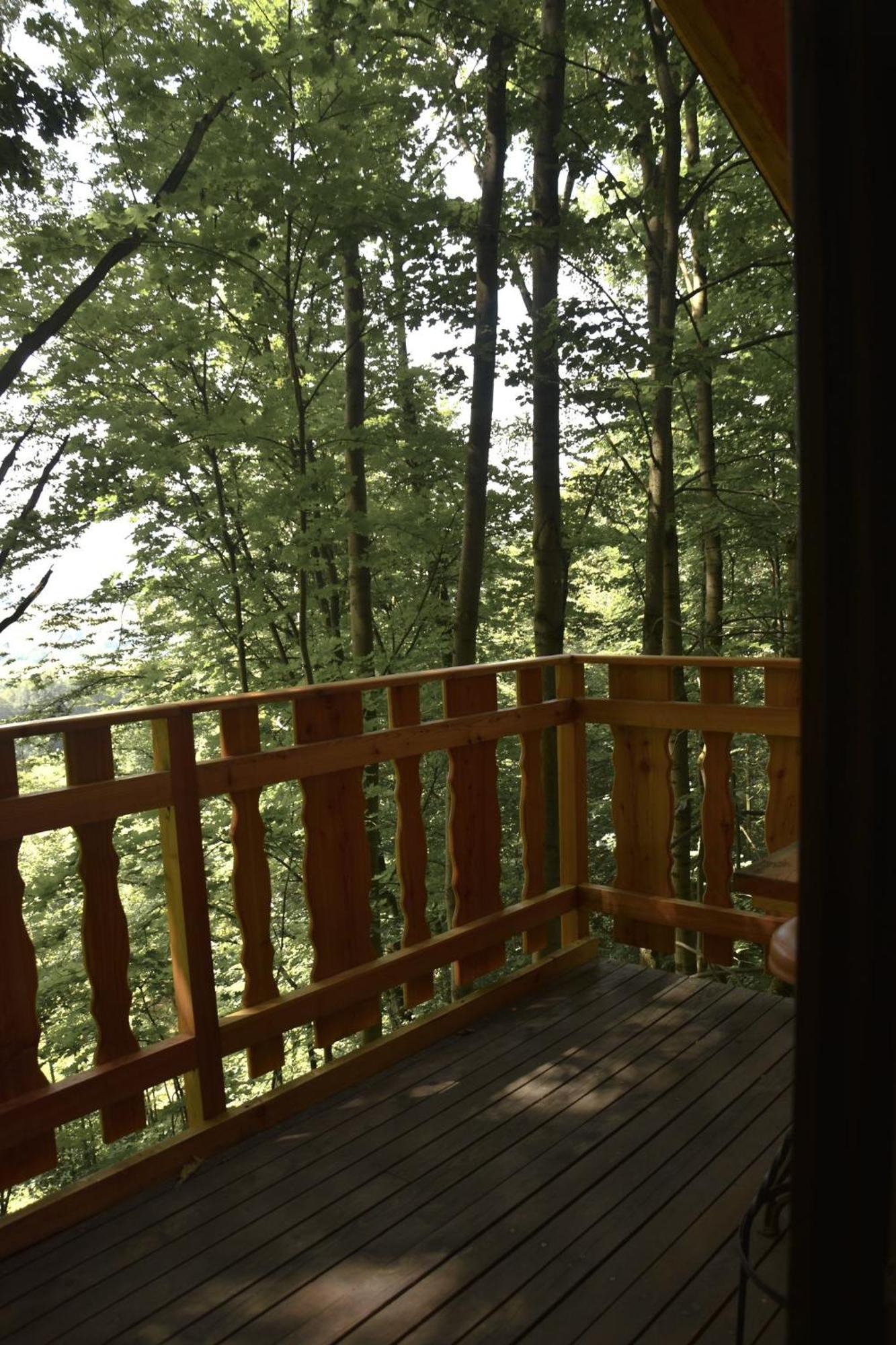 Treehouse Velké Losiny Екстериор снимка